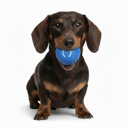 Hundeball "Motala"